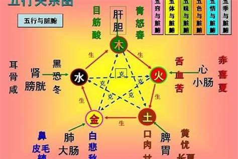 属土的人|五行属土的八字 (五行属土的人性格特点)